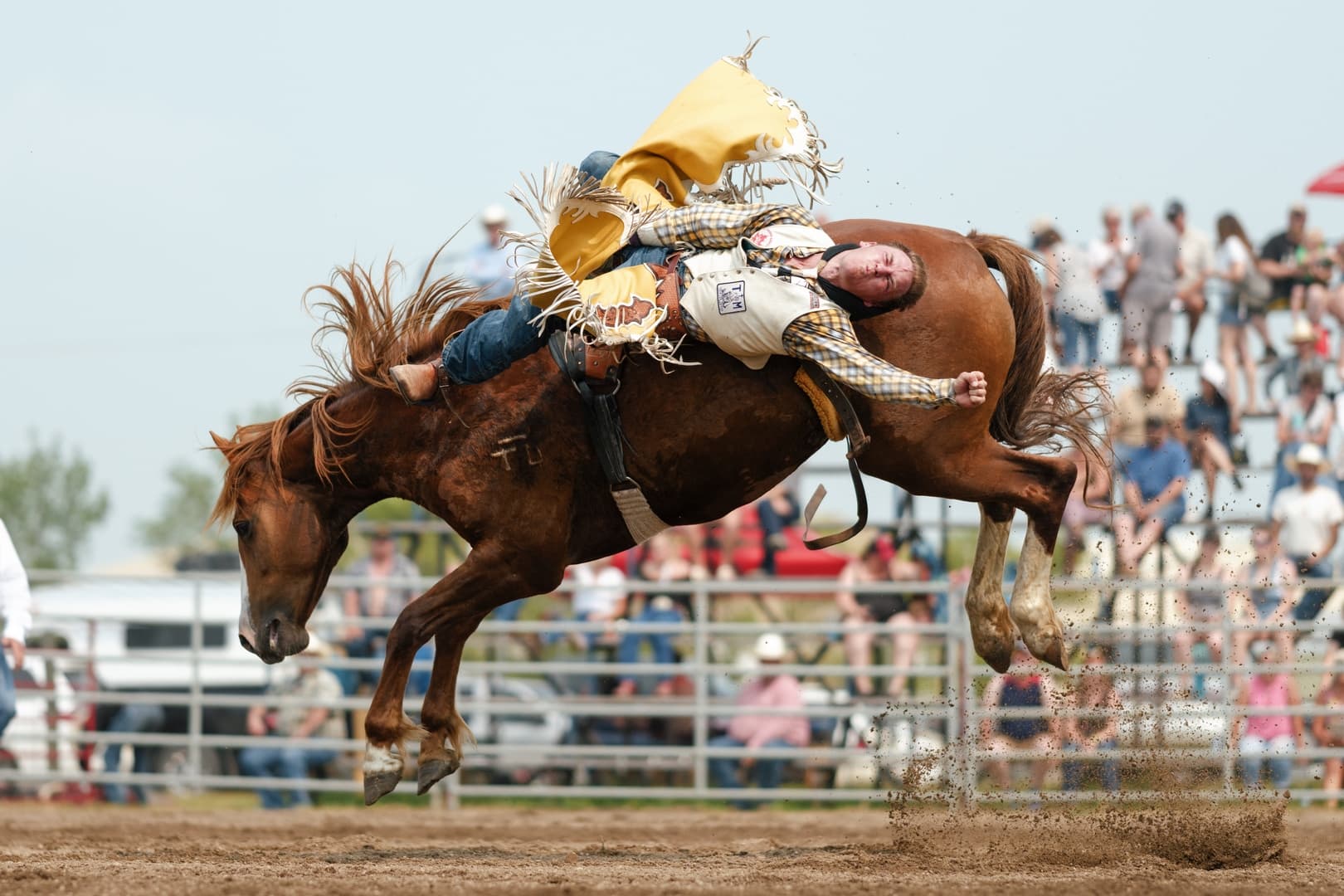 Moose Mountain Pro Rodeo Photo 12