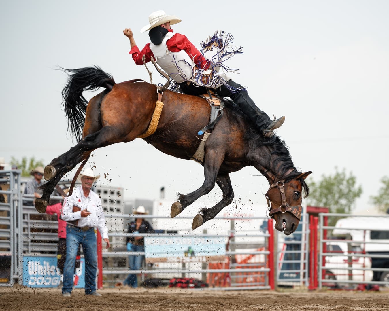 Moose Mountain Pro Rodeo Photo 11