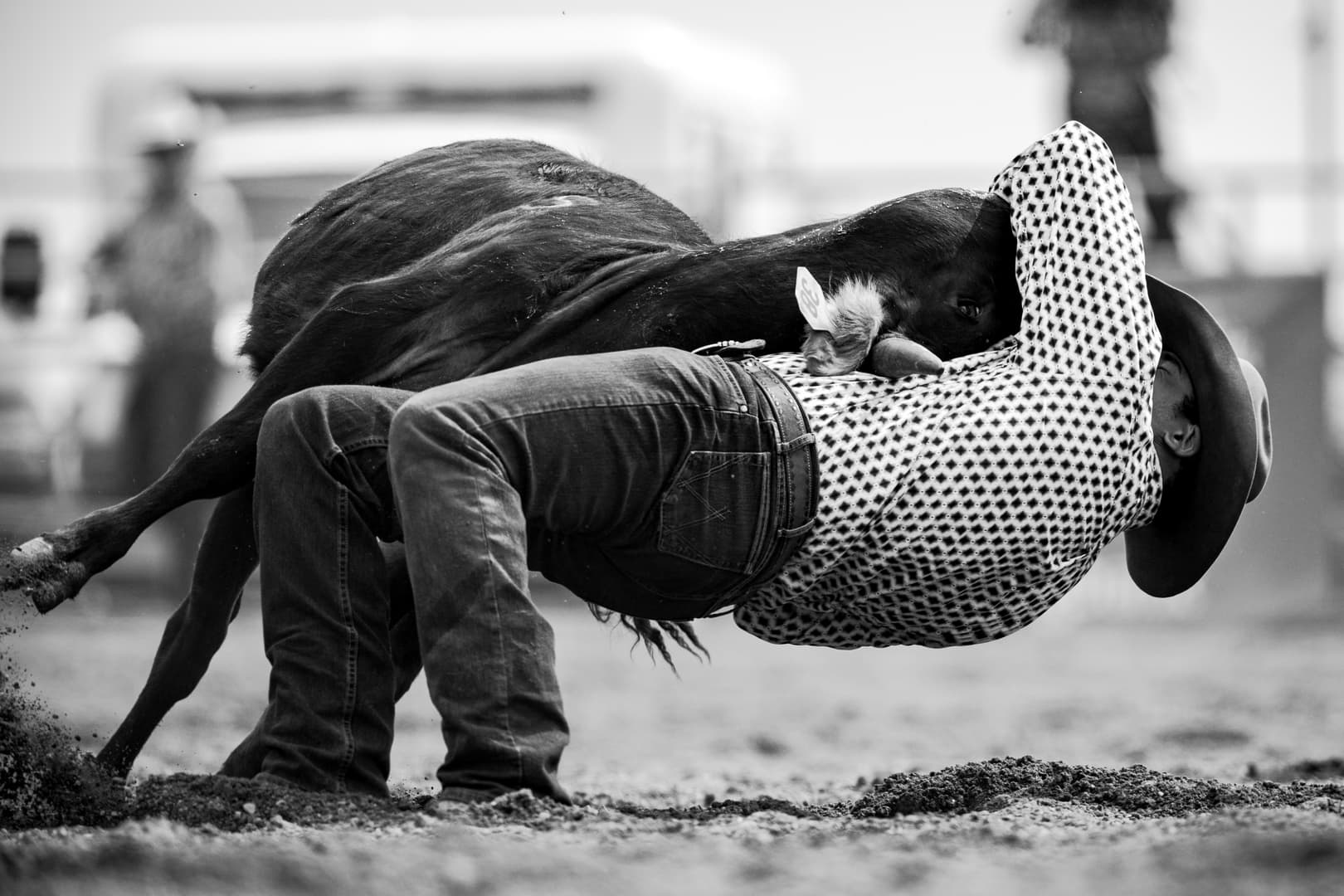 Moose Mountain Pro Rodeo Photo 3